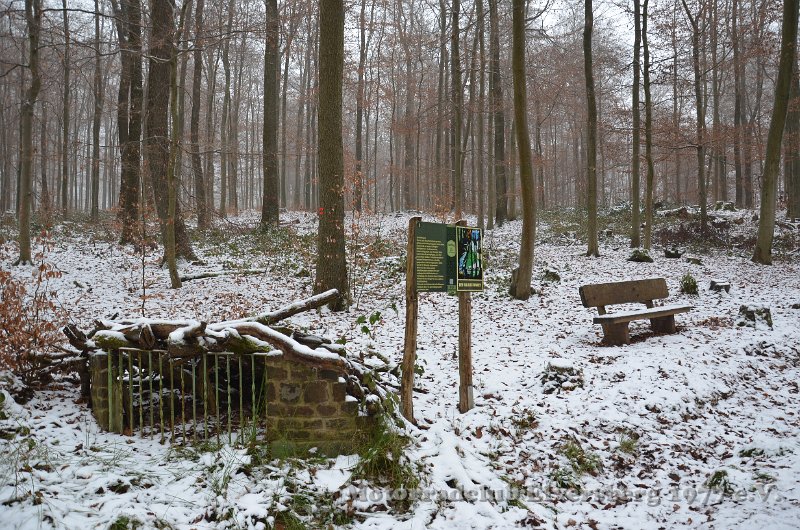 Wandertag 2017 - 045.JPG